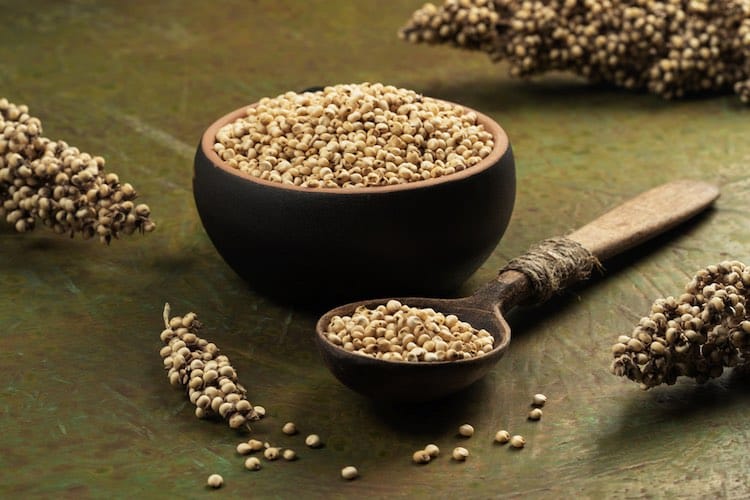 Plodina budoucnosti, bezlepková obilovina čirok: Původ, složení, vliv na zdraví i recepty