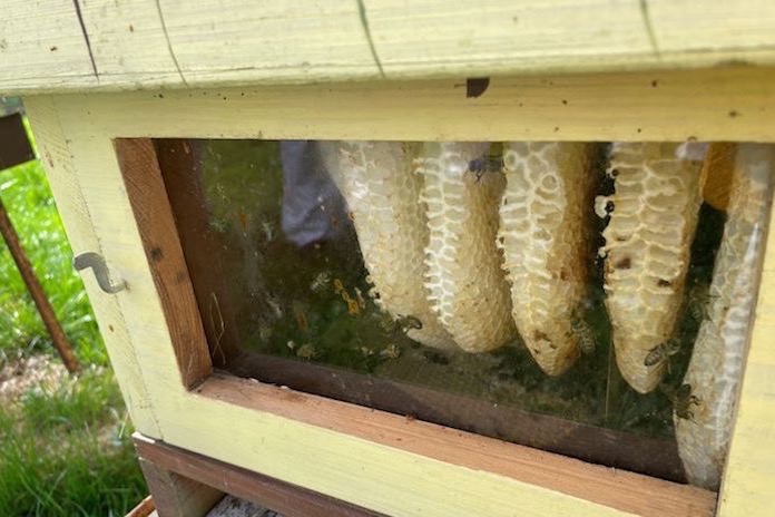 kvalitní druhy medu