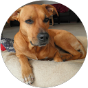 Tomáš H. profile picture