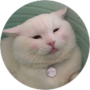 Lucie B. profile picture